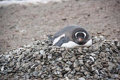 《堕落之主》发行商再次裁员：确保团队实现最高效率